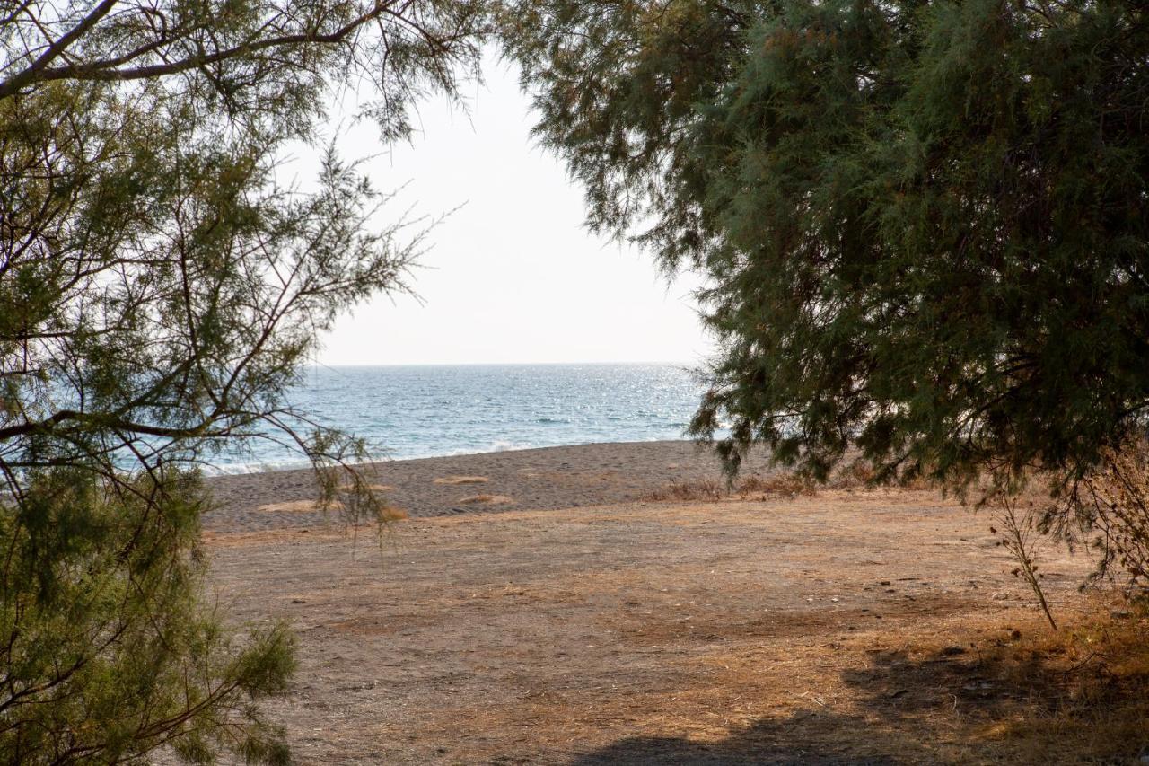 Kalypso Apartment Ierapetra Dış mekan fotoğraf